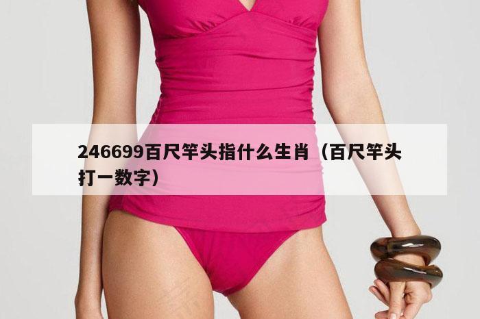 246699百尺竿头指什么生肖（百尺竿头打一数字）